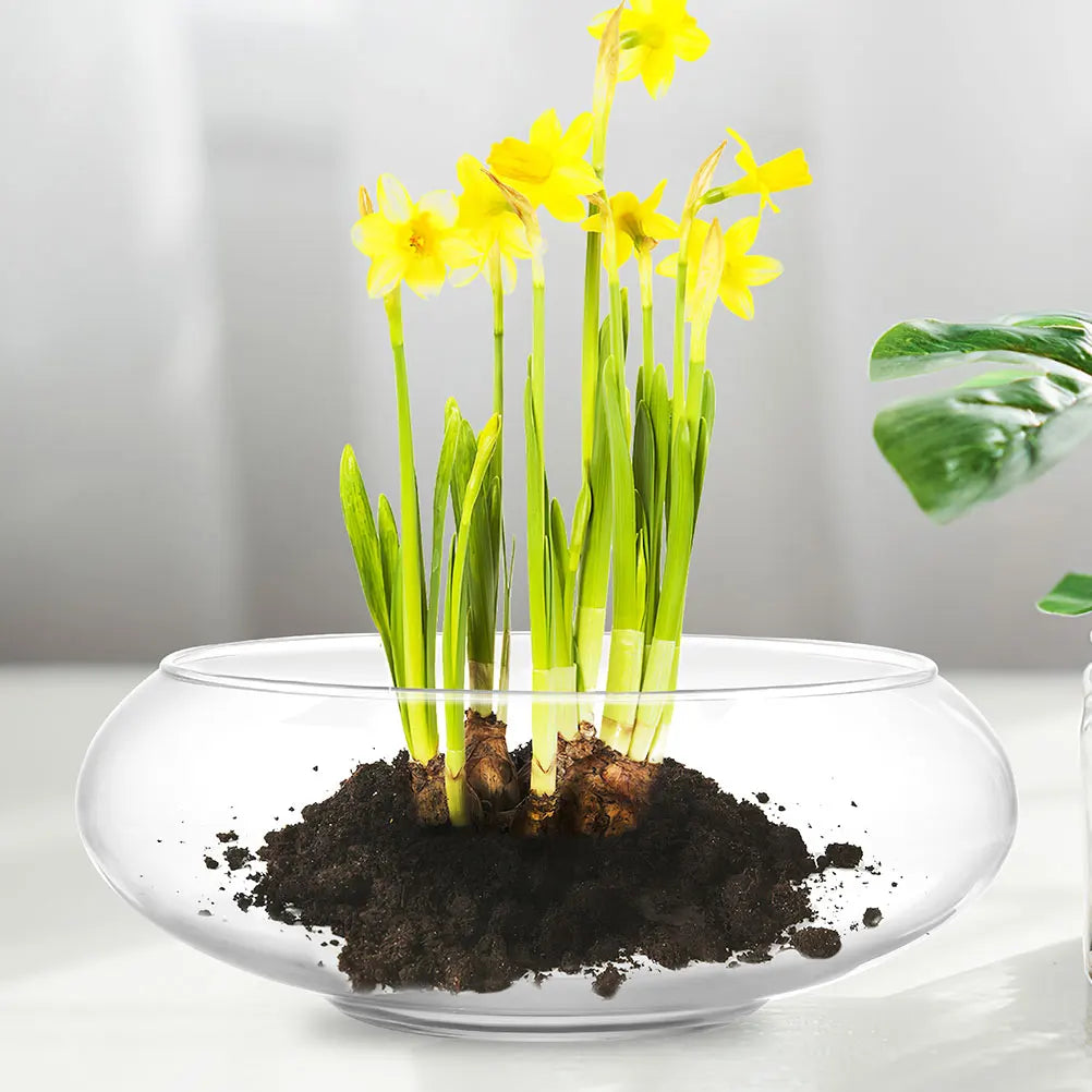 Flower Glass Vase Bowl Clear Wide Mouth Round Terrarium Succulent Planter Hydroponic Container Fish Bowl Home Landscape Decor