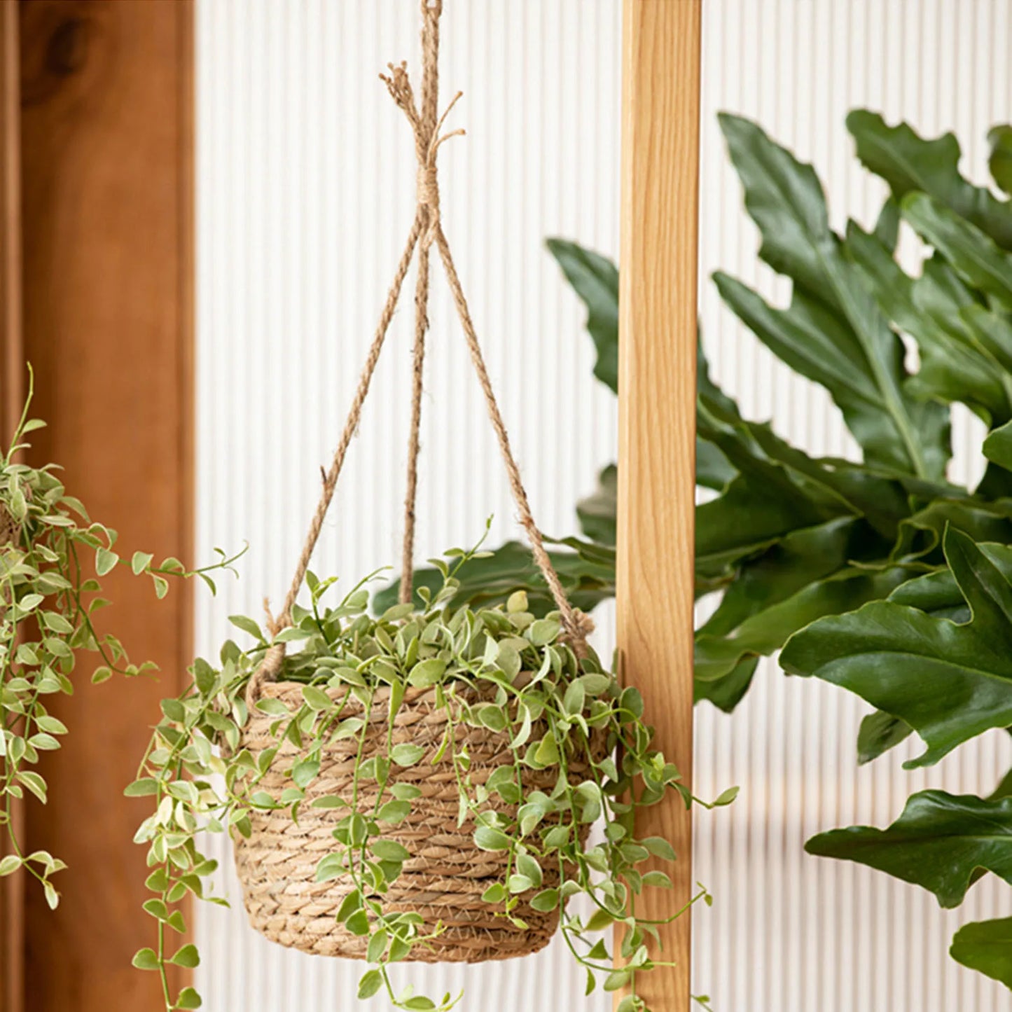 Hanging Woven Planter Basket Large Capacity and Portable Basket Fine Craftsmanship Burr-free Basket
