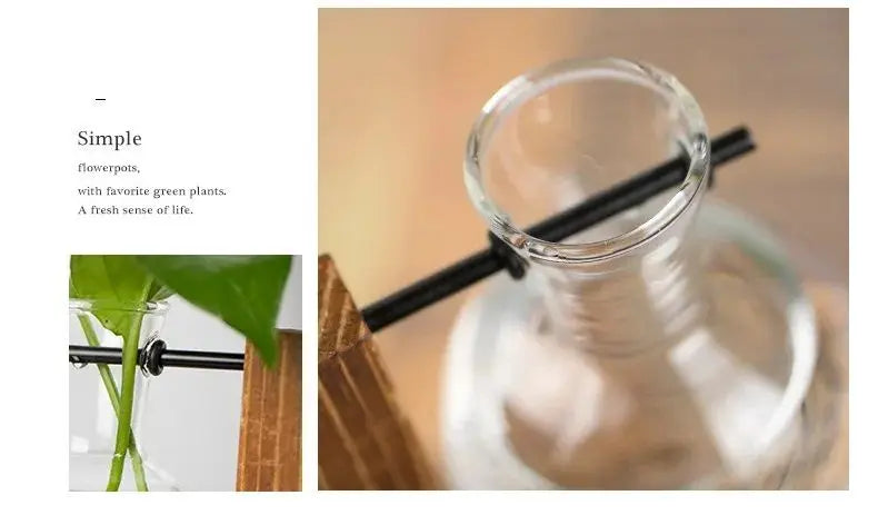 Creative Glass Desktop Planter Bulb Vase Wooden Stand Hydroponic Plant Container Decor Home Tabletop Decor Vases