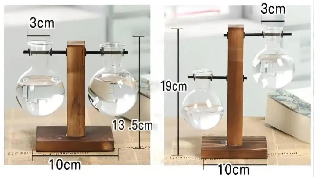Creative Glass Desktop Planter Bulb Vase Wooden Stand Hydroponic Plant Container Decor Home Tabletop Decor Vases
