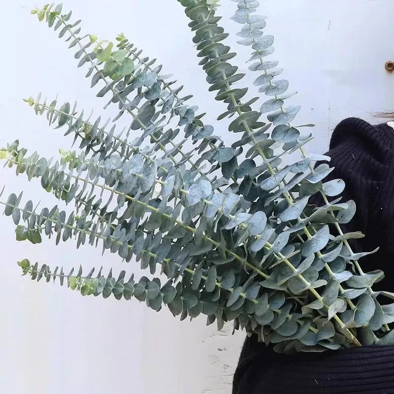 12/10PCS Eucalyptus Leaves Bunch Branch Artificial Plastic Plants Leaves Green Stems Wedding Faux Fake Flowers Cake DIY Decor
