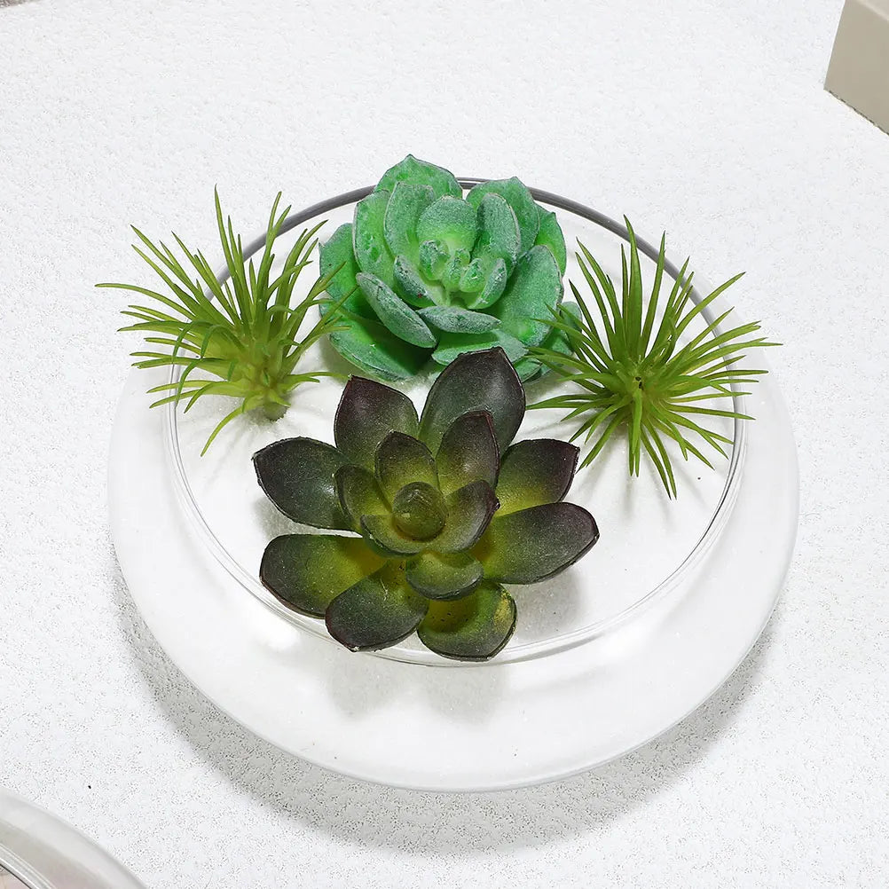 Flower Glass Vase Bowl Clear Wide Mouth Round Terrarium Succulent Planter Hydroponic Container Fish Bowl Home Landscape Decor