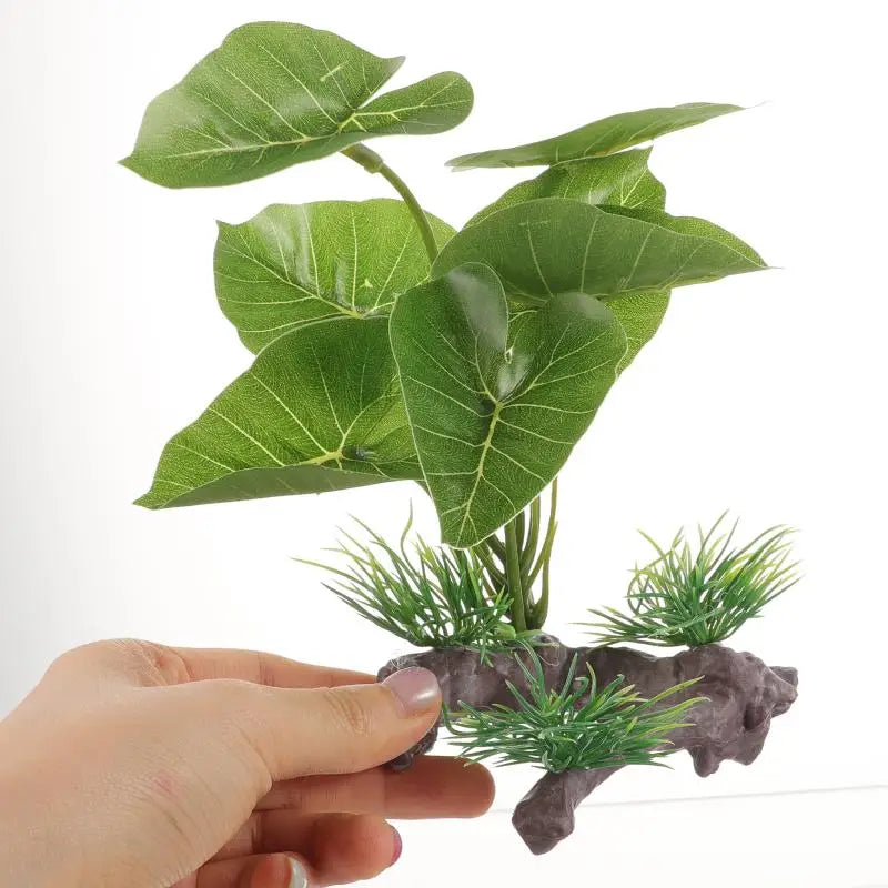 Plant For Fish Tank Lasting Widely-used Decorative Aquarium Grass Freshwater Aquarium Plant Betta Fish Tank Plants Landscaping