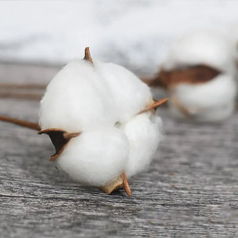 Artificial Dried Cotton Flowers White Flower Branch For Wedding Party Decoration Fake Flower Home Flower Decor Eucalyptus Leaves