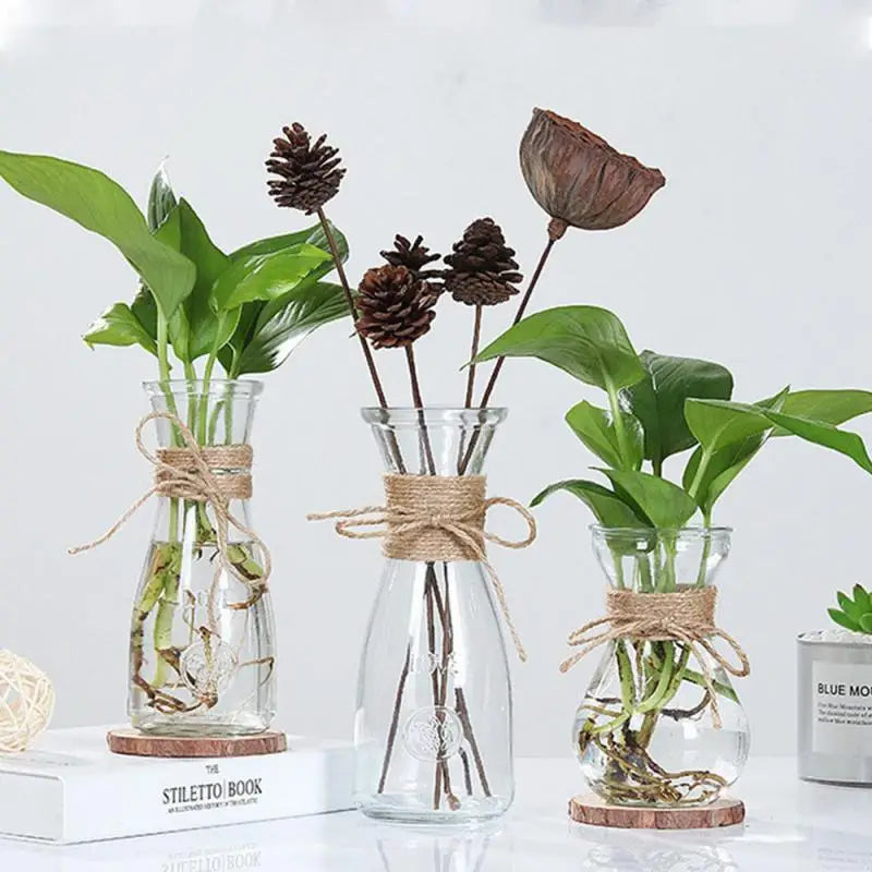 Glass Vase Thickened And Wear Resistant High Quality Thickened Glass Home Decoration Flower Ornaments Flanging Design Circular