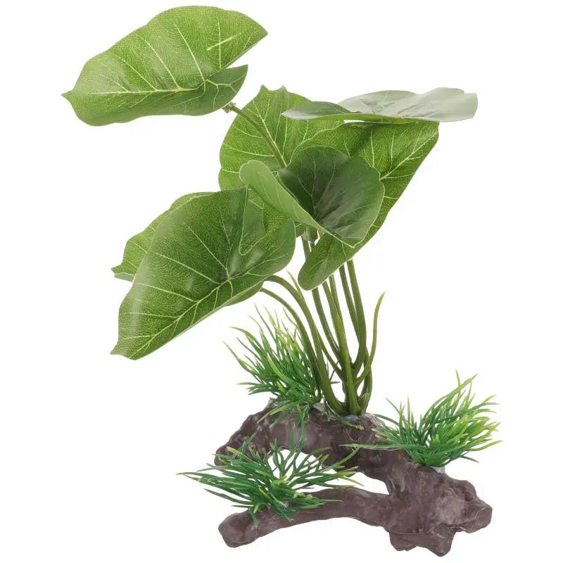 Plant For Fish Tank Lasting Widely-used Decorative Aquarium Grass Freshwater Aquarium Plant Betta Fish Tank Plants Landscaping