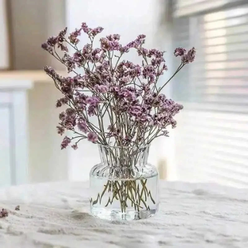 1PC Scandinavian Transparent Vase Plant Vase Flower Pot Hydroponic Plant Container Desktop Vase Home Decoration