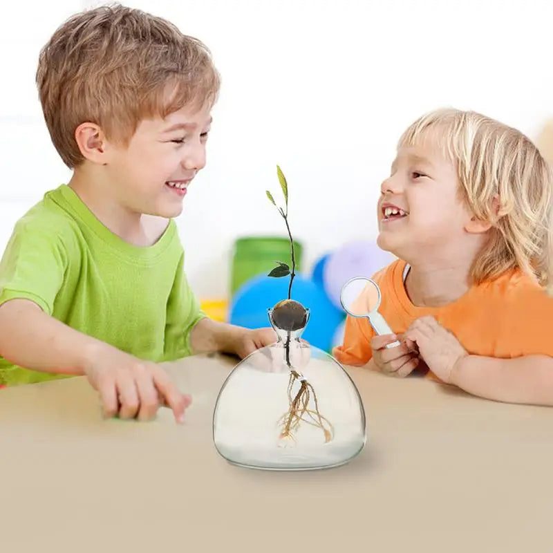 Modern Transparent Hydroponics Glass Vase Avocado Seed Vase Desktop Decorating Vase Clear Design For Gardening Lovers