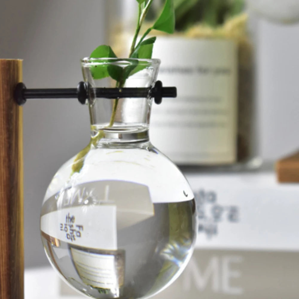 Creative Glass Desktop Planter Bulb Vase Wooden Stand Hydroponic Plant Container Decor Home Tabletop Decor Vases