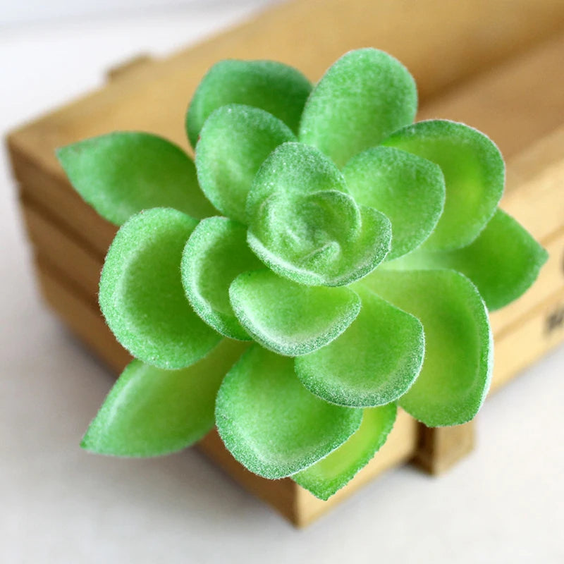 Artifical Plastic Succulent Plant Realistic Textured Cactus Mini Faux Succulents Fake Plant Decor Craft Ornaments Floral Decorat