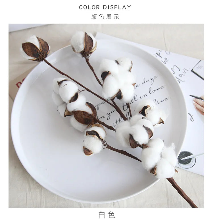 Naturally Dried Cotton Cheap Artificial Plants Floral Branch Vases Wedding Garden Party Decorations Fake Flowers Home Gift Decor