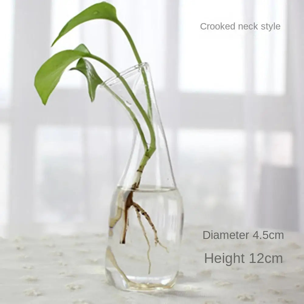 Transparent Glass Vase Hydroponic Container High Quality Flower Arrangement Living Room Decorations Ornamental Horticulture