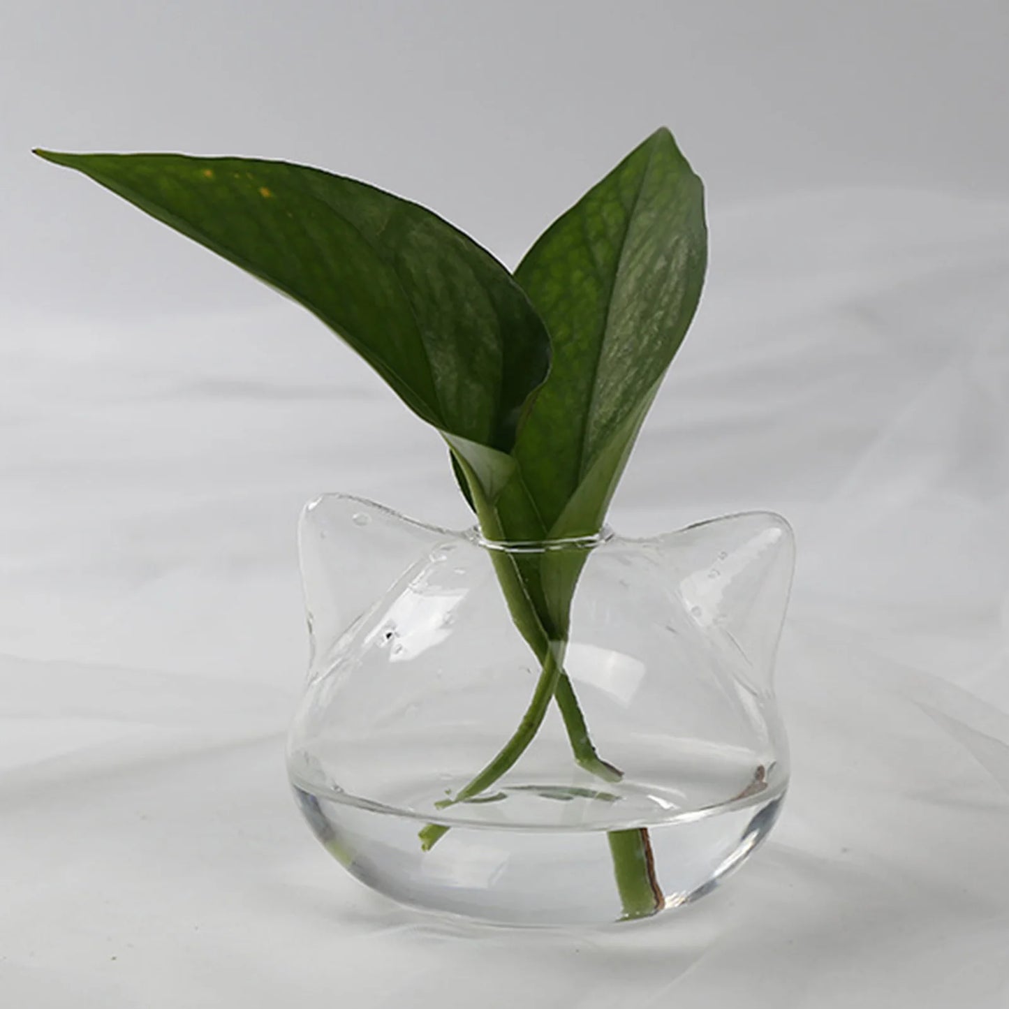 Cartoon Cat Glass Vases Hydroponic Landscape Holder Succulent Terrarium Planters for Tabletop Succulent Air Plant Planter