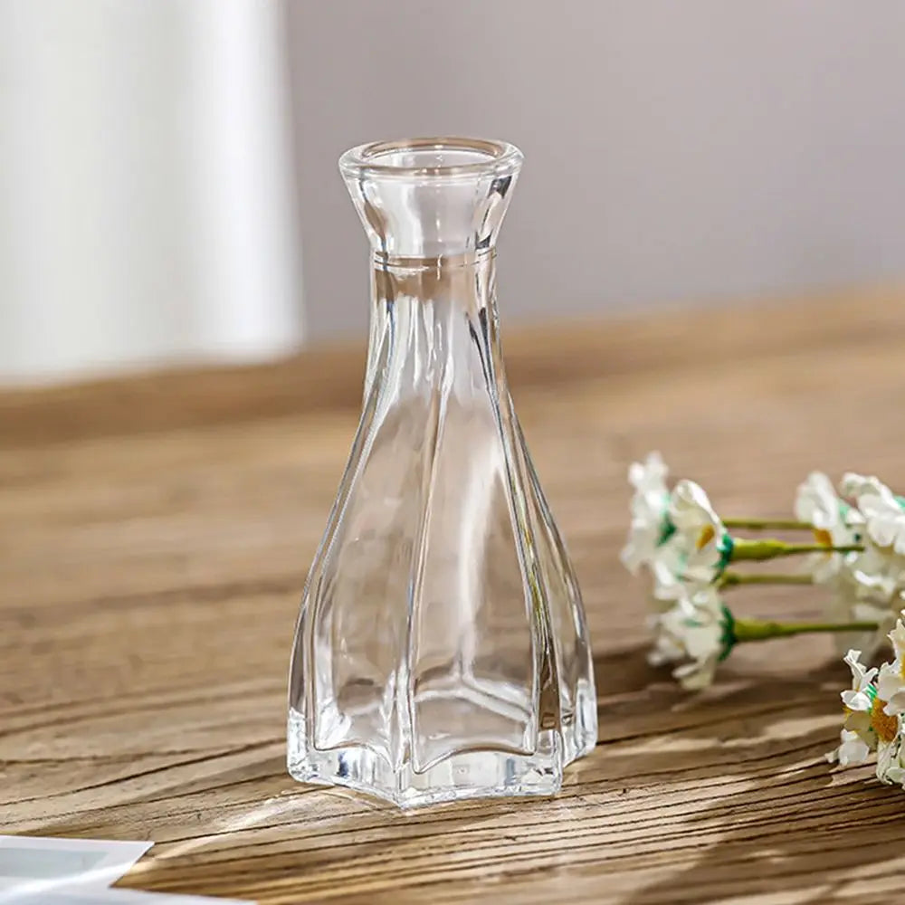 Retro Hydroponic Plant Vase Transparent Glass Vase INS Flower Vase Desktop Ornaments Home Decoration Wedding Party Supplies
