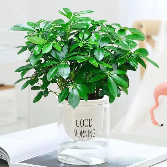 1pc, 13in Artificial Plant, Fake Leaves With Stem, Fake Plant, LivingRoom Hotel Window Office Decoration,Home Decor, Room Decor
