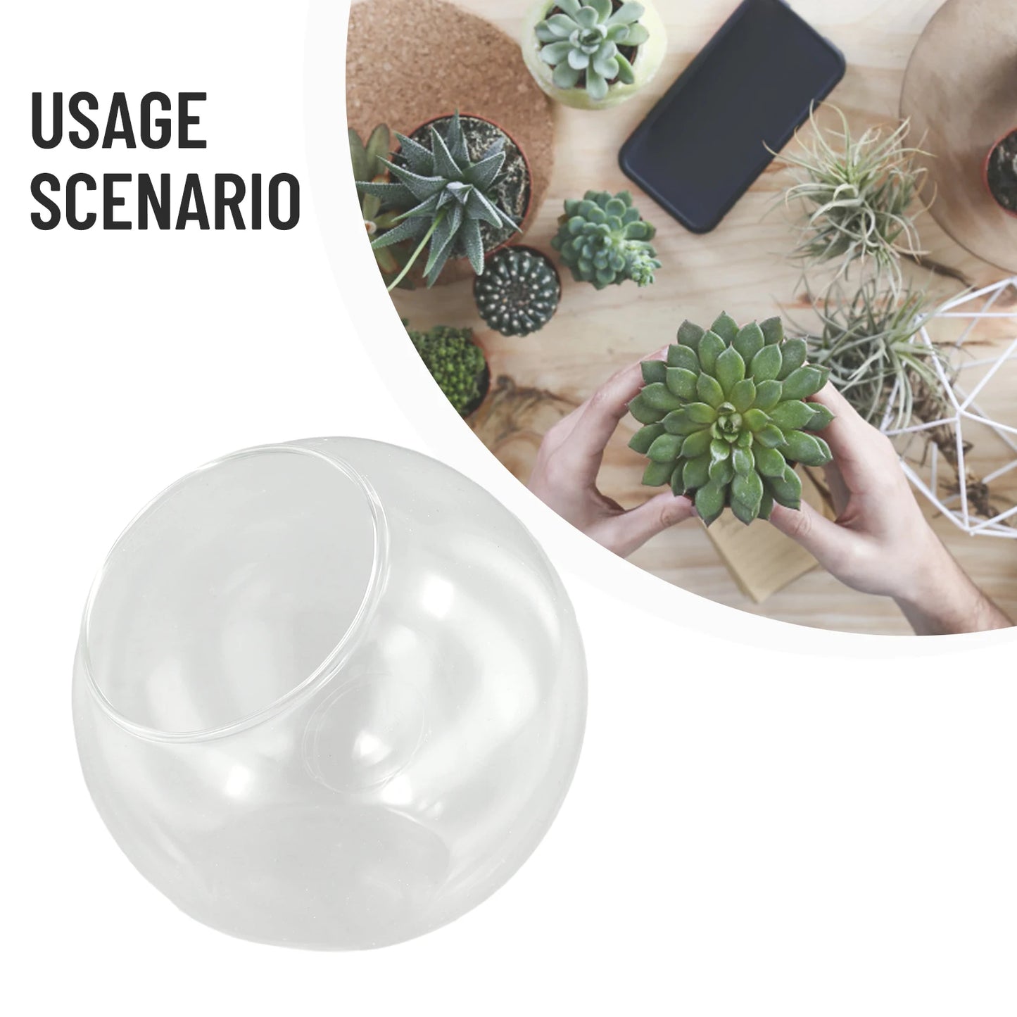 DIY Eco Bottle Micro Landscape Slanted Mouth Glass Vase Plant Container Flower Pot Hanging Round Glass Vase Garden Home Decor
