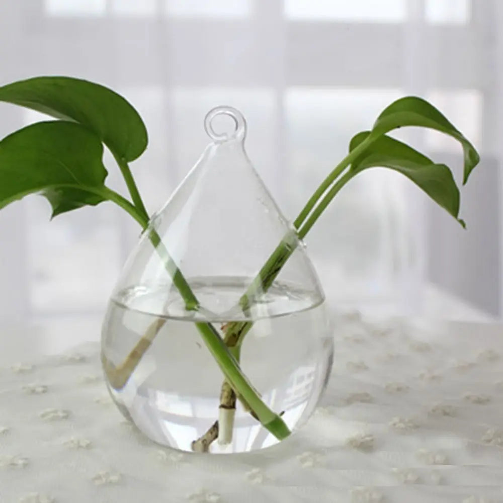 Transparent Glass Vase Hydroponic Container High Quality Flower Arrangement Living Room Decorations Ornamental Horticulture