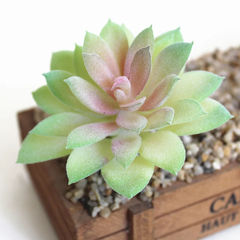 Artifical Plastic Succulent Plant Realistic Textured Cactus Mini Faux Succulents Fake Plant Decor Craft Ornaments Floral Decorat