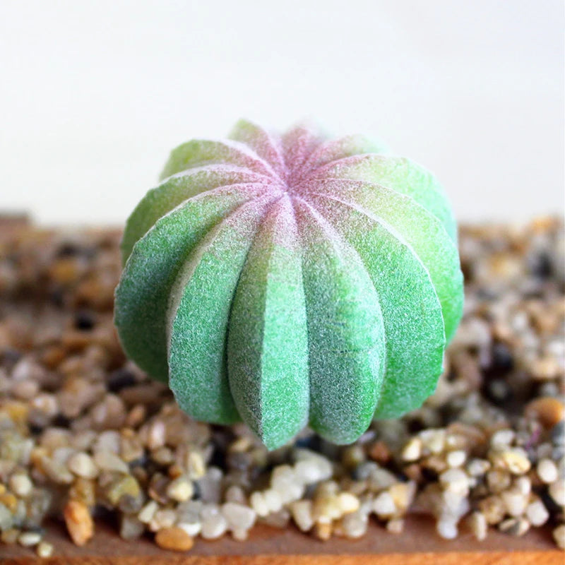 Artifical Plastic Succulent Plant Realistic Textured Cactus Mini Faux Succulents Fake Plant Decor Craft Ornaments Floral Decorat