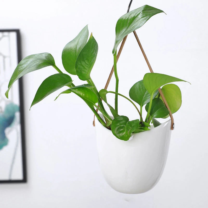 Creative Wall Hanging Flower Plant Pots Succulent Flower Pot Flower Basket White Ceramic Vase Garden Decoration planters