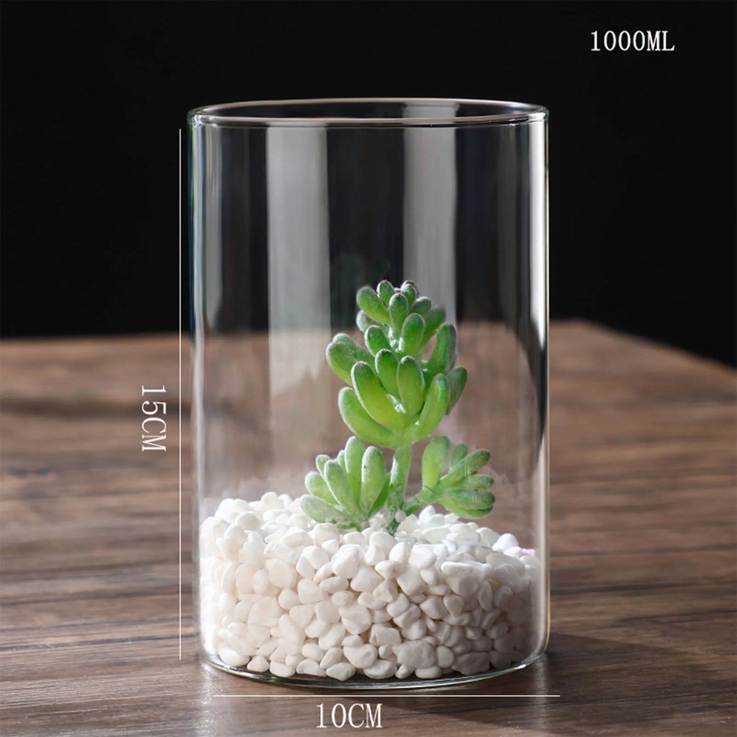 Simplism Glass Hydroponic Vase Modern Small Cylinder Flower Centerpiece Vases Use for Wedding Decor accesorios para jardin