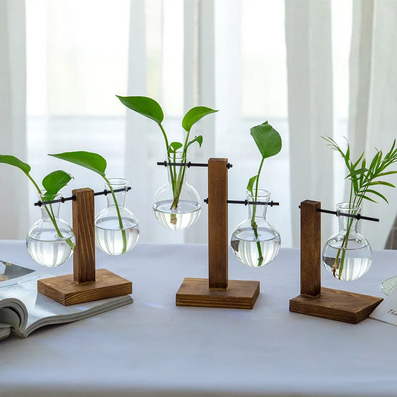 Wooden frame hydroponic vase, green ivy glass vase container, office desk, green plant decoration, flower pot