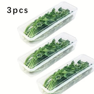 Rectangular Food Storage Containers Long Fresh-Keeping Sealed Boxes Plastic Reusable Kitchen Storage Solution Fridge Organizer
