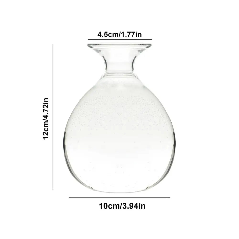 Modern Transparent Hydroponics Glass Vase Avocado Seed Vase Desktop Decorating Vase Clear Design For Gardening Lovers