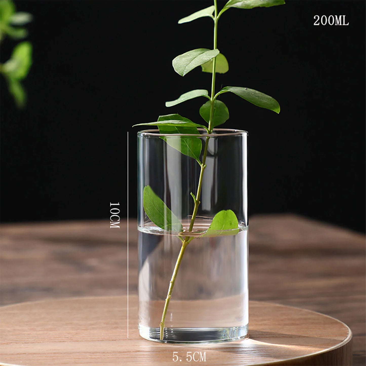 Simplism Glass Hydroponic Vase Modern Small Cylinder Flower Centerpiece Vases Use for Wedding Decor accesorios para jardin