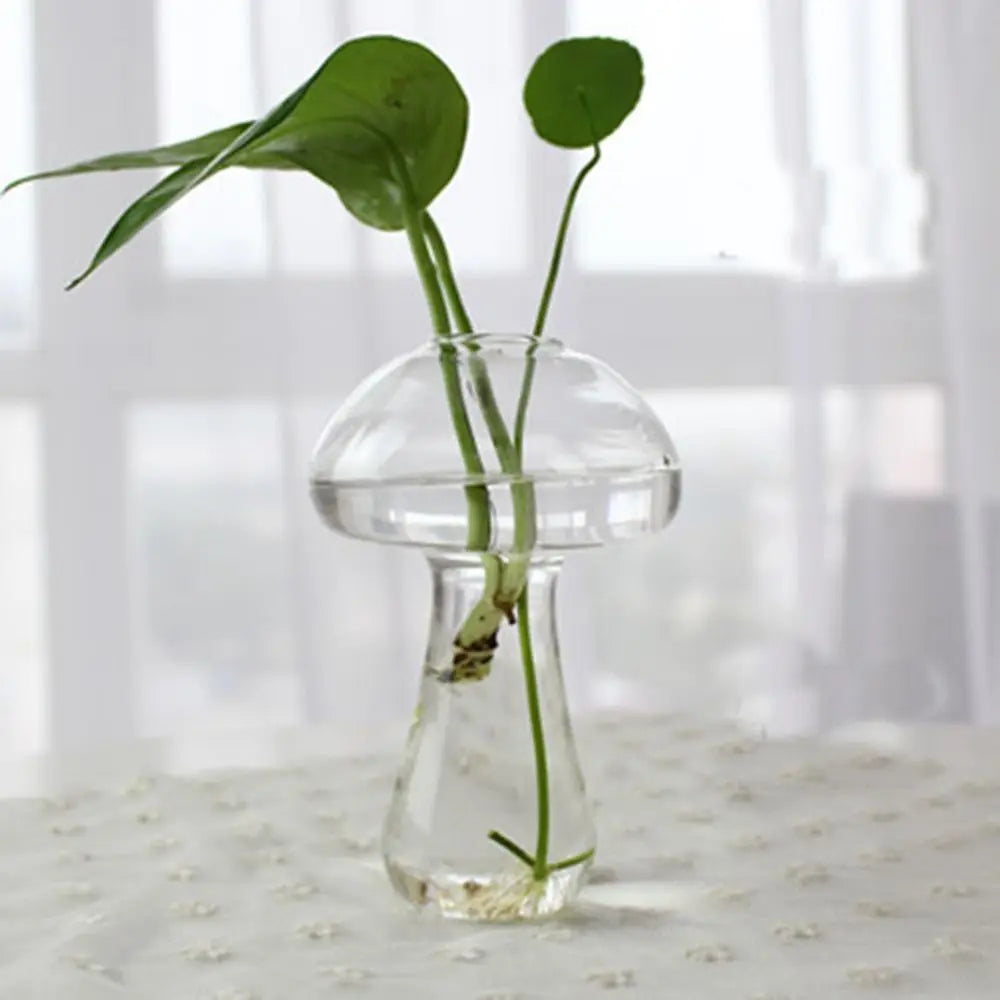 Transparent Glass Vase Hydroponic Container High Quality Flower Arrangement Living Room Decorations Ornamental Horticulture