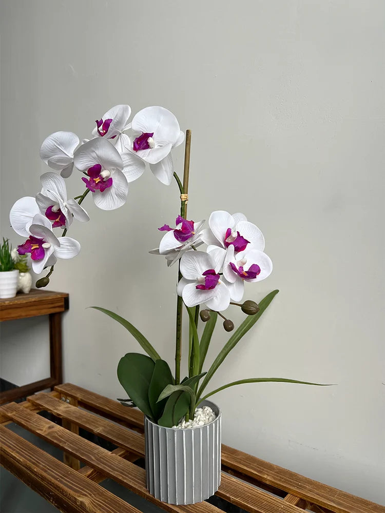 Phalaenopsis Potted Bonsai Fake Flower With Leaf Potted Plant Fake Orchid Flower Arrangement Living Room Indoor Decoration