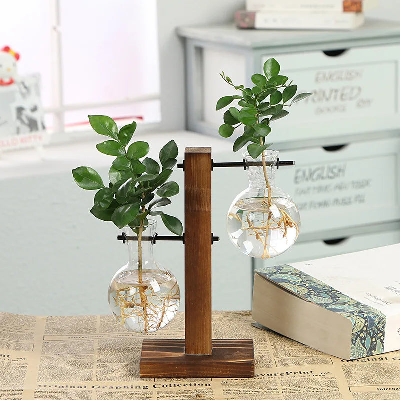 Wooden frame hydroponic vase, green ivy glass vase container, office desk, green plant decoration, flower pot
