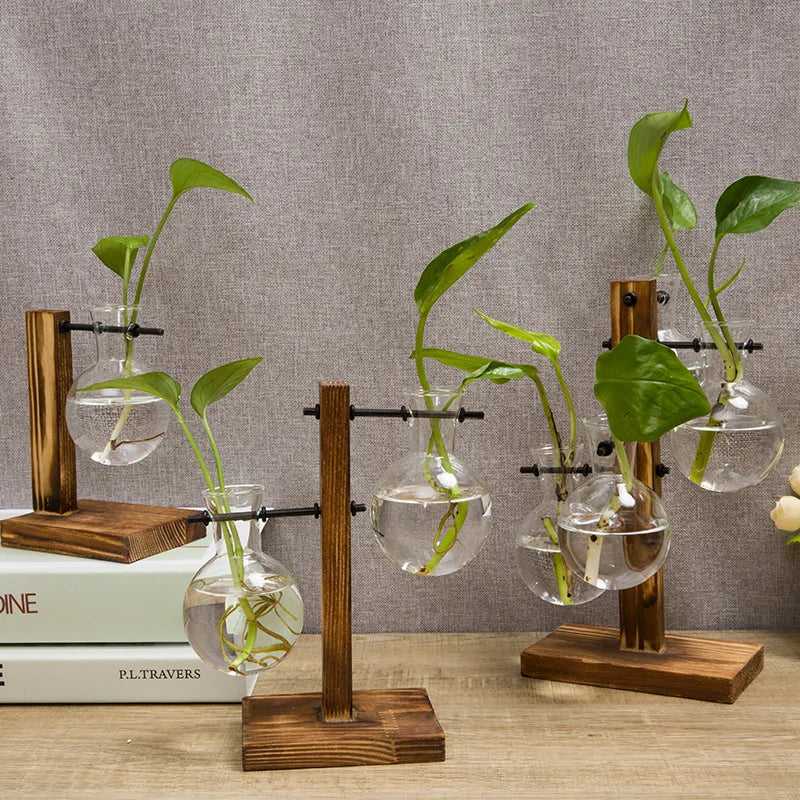 Wooden frame hydroponic vase, green ivy glass vase container, office desk, green plant decoration, flower pot