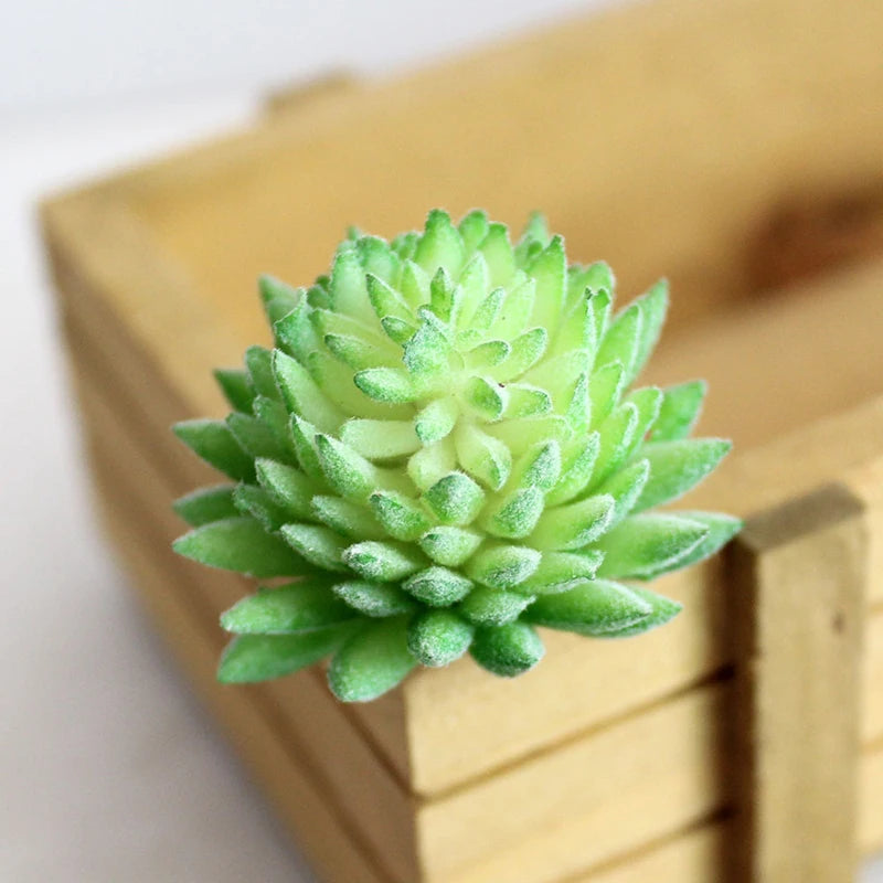 Artifical Plastic Succulent Plant Realistic Textured Cactus Mini Faux Succulents Fake Plant Decor Craft Ornaments Floral Decorat