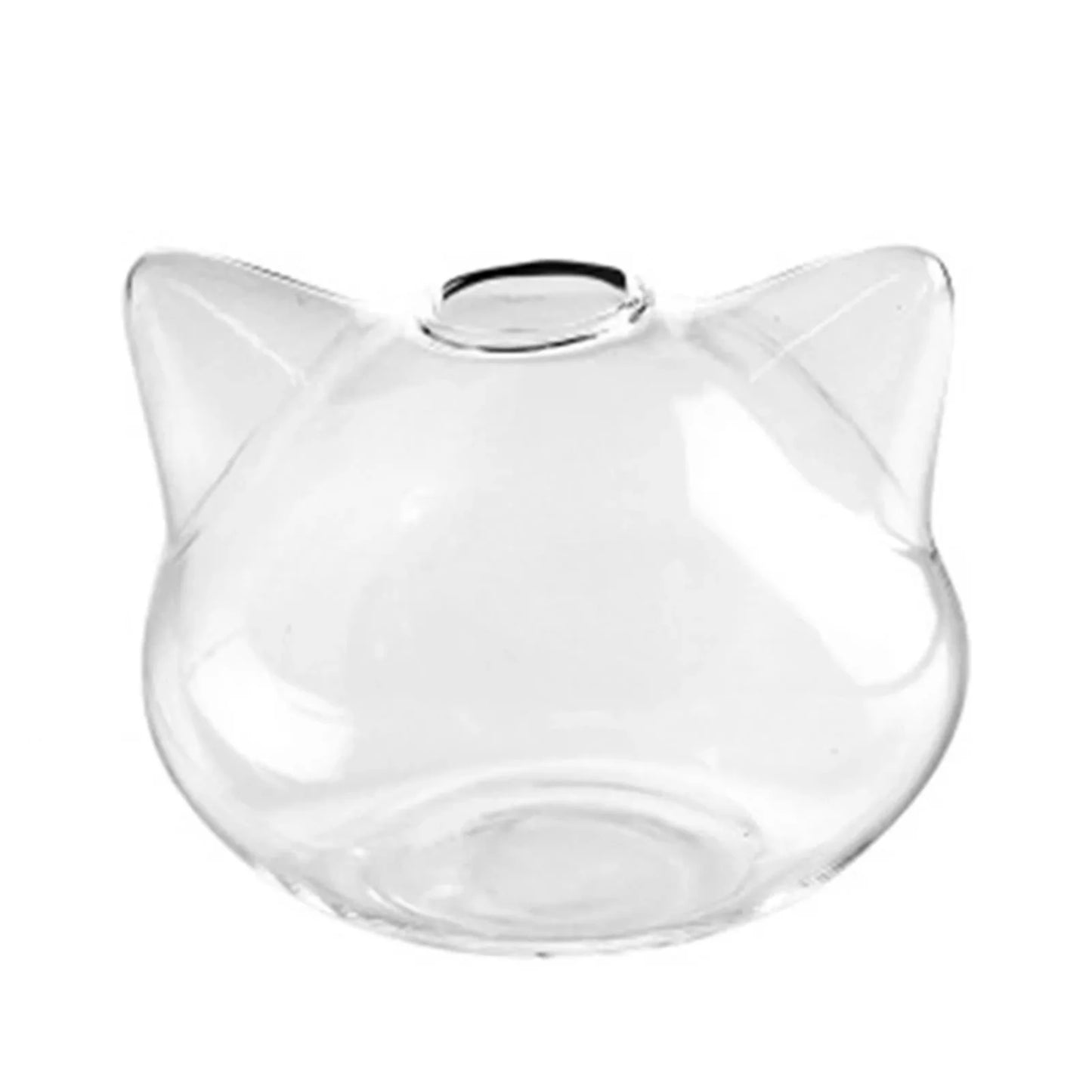 Cartoon Cat Glass Vases Hydroponic Landscape Holder Succulent Terrarium Planters for Tabletop Succulent Air Plant Planter