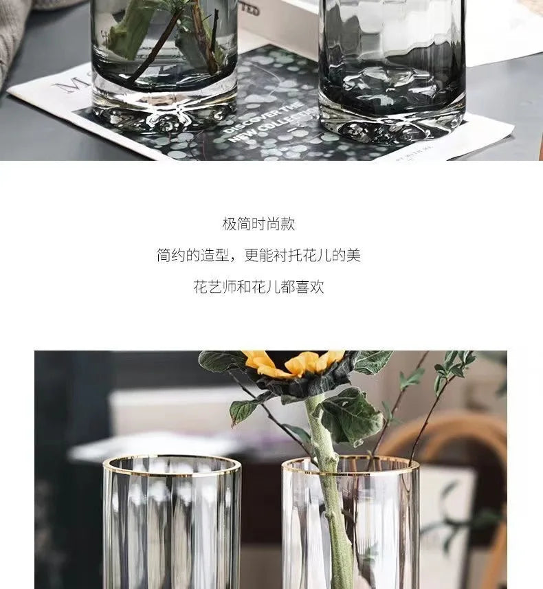 Vase, high-end straight tube, gold-plated glass vase, transparent water cured dried flower arrangement, desktop decoration