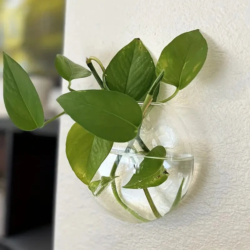 Transparent Glass Flat Vase Wall Hanging Hydroponic Container Terrarium Fish Tanks Potted Plant Flower Pot Home Garden Decorate