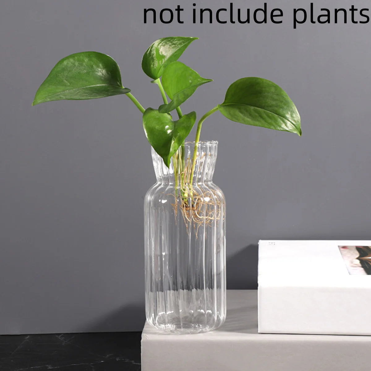 Transparent Glass Vases Hydroponic Plants Flower Arrangement Bottle Mini Retro Striped Vase Home Room Dinner Table Decor ﻿