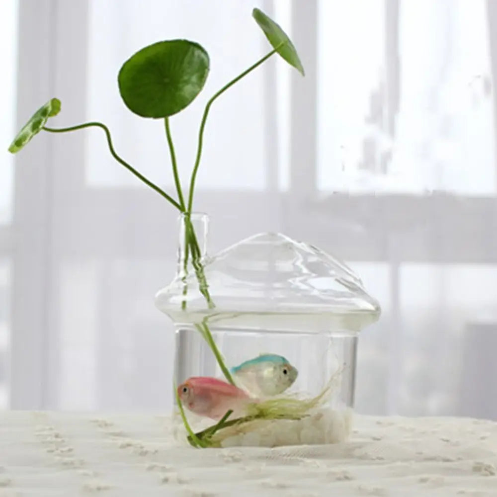 Transparent Glass Vase Hydroponic Container High Quality Flower Arrangement Living Room Decorations Ornamental Horticulture