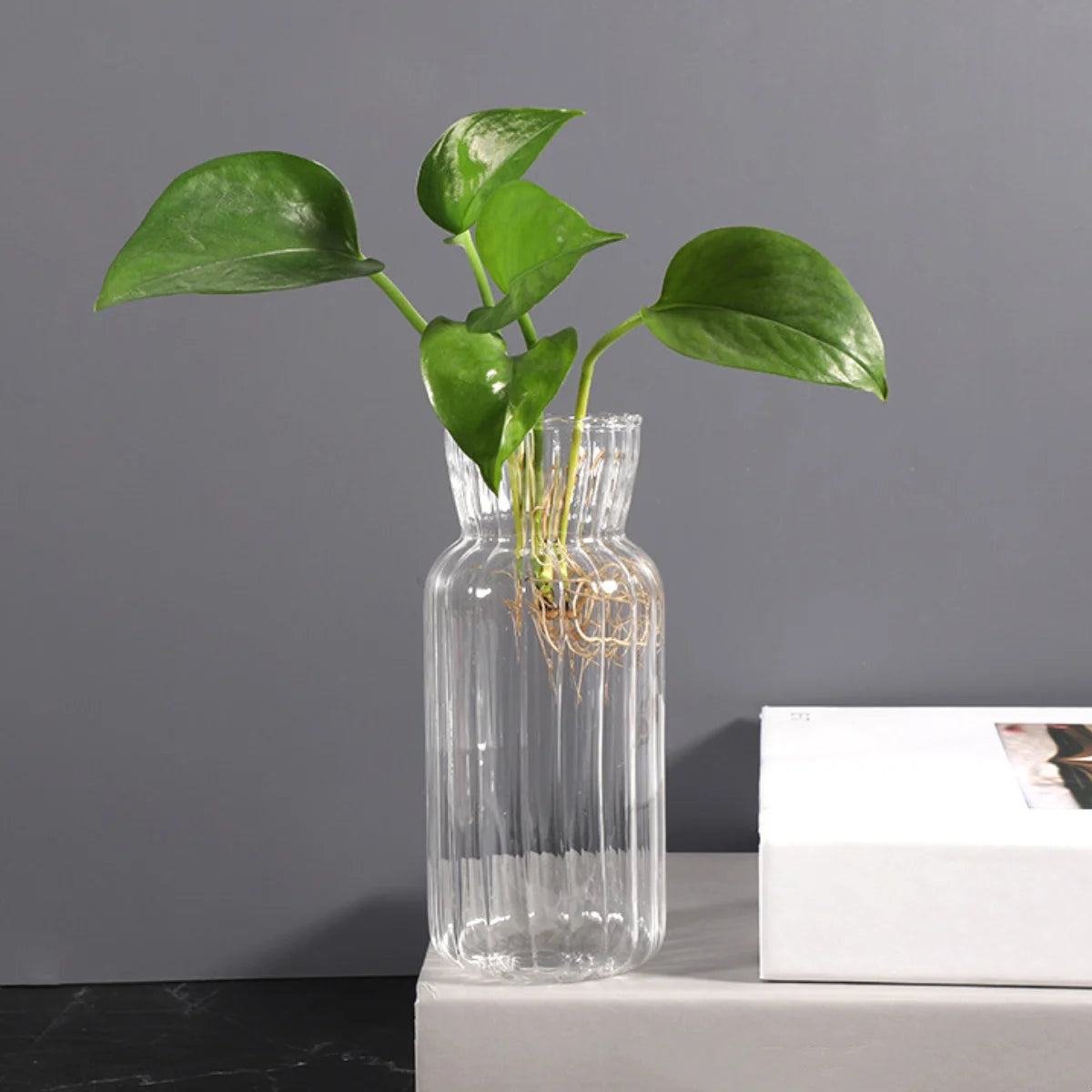 Transparent Glass Vases Hydroponic Plants Flower Arrangement Bottle Mini Retro Striped Vase Home Room Dinner Table Decor ﻿
