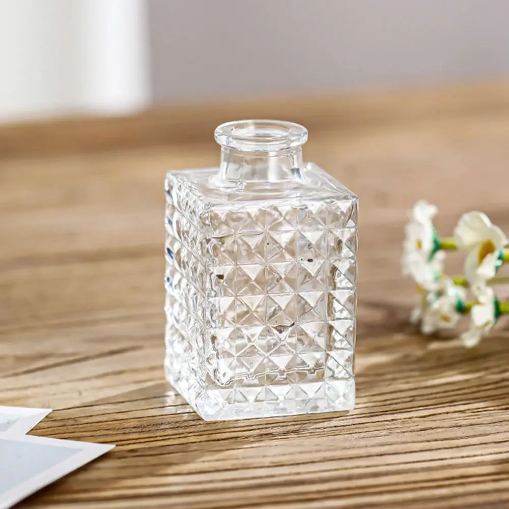 Retro Hydroponic Plant Vase Transparent Glass Vase INS Flower Vase Desktop Ornaments Home Decoration Wedding Party Supplies