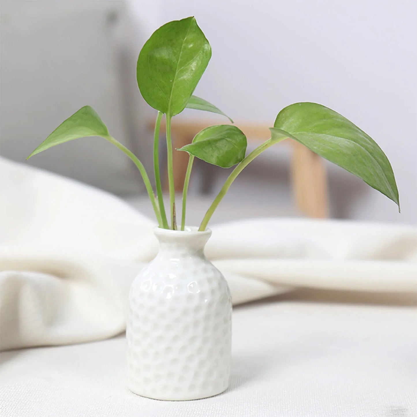 Ceramic Flower Vase Pot Hydroponic Bottle Creative Vase for Plants Office Desktop Ornament Home Room Decor Garden Flowerpot