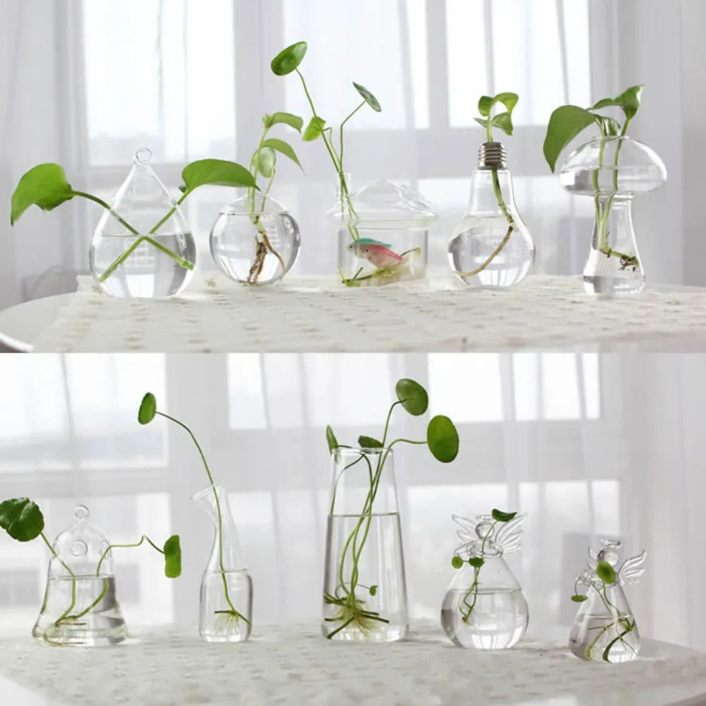 Transparent Glass Vase Hydroponic Container High Quality Flower Arrangement Living Room Decorations Ornamental Horticulture