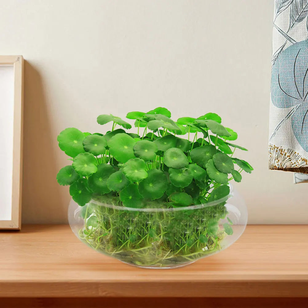 Flower Glass Vase Bowl Clear Wide Mouth Round Terrarium Succulent Planter Hydroponic Container Fish Bowl Home Landscape Decor