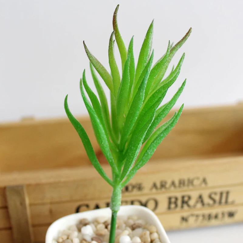 Artifical Plastic Succulent Plant Realistic Textured Cactus Mini Faux Succulents Fake Plant Decor Craft Ornaments Floral Decorat