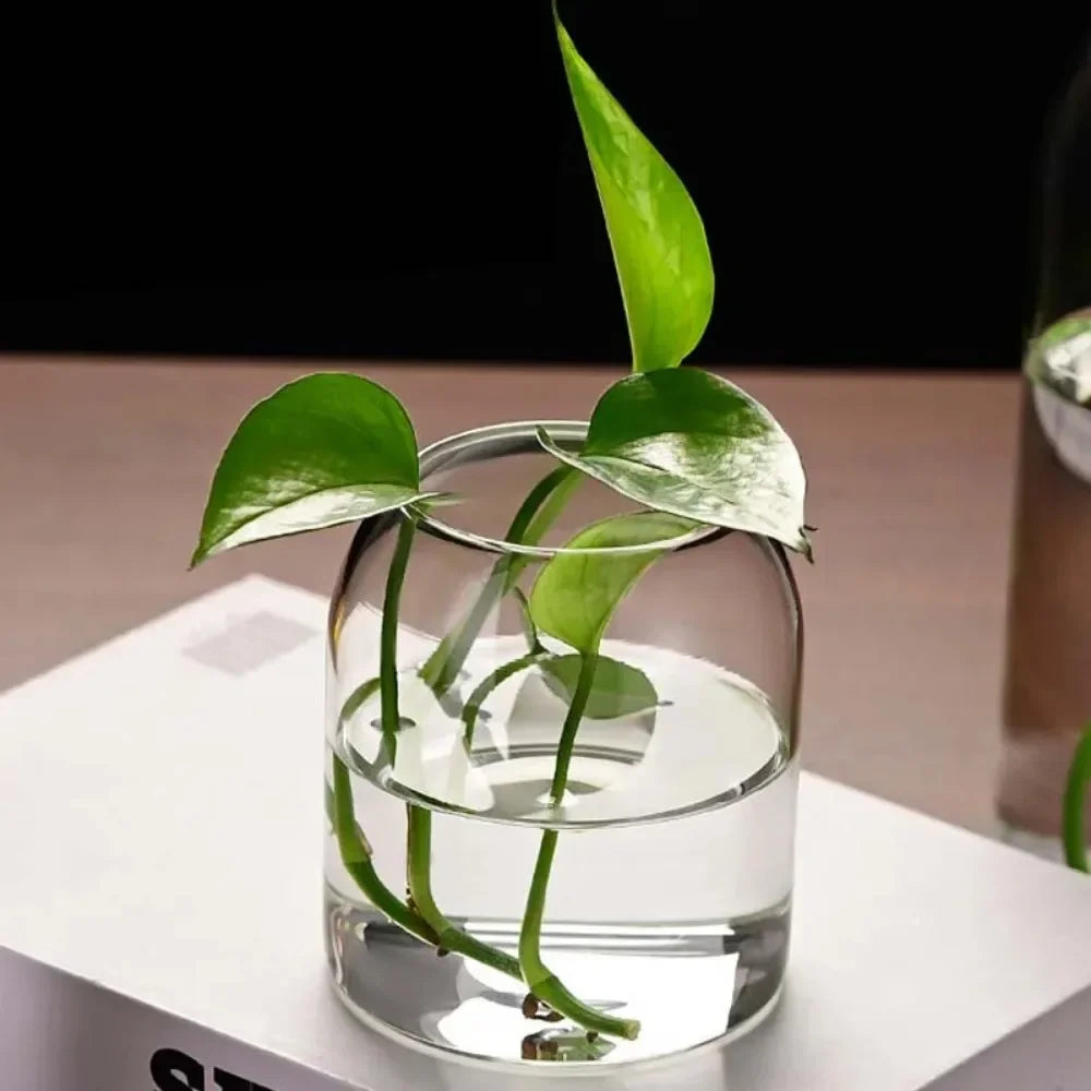 Creative Hydroponic Plant Glass Simple Modern Bottle Flower Vase for Centerpieces Desktop Home Dining Wedding Modern Wedding