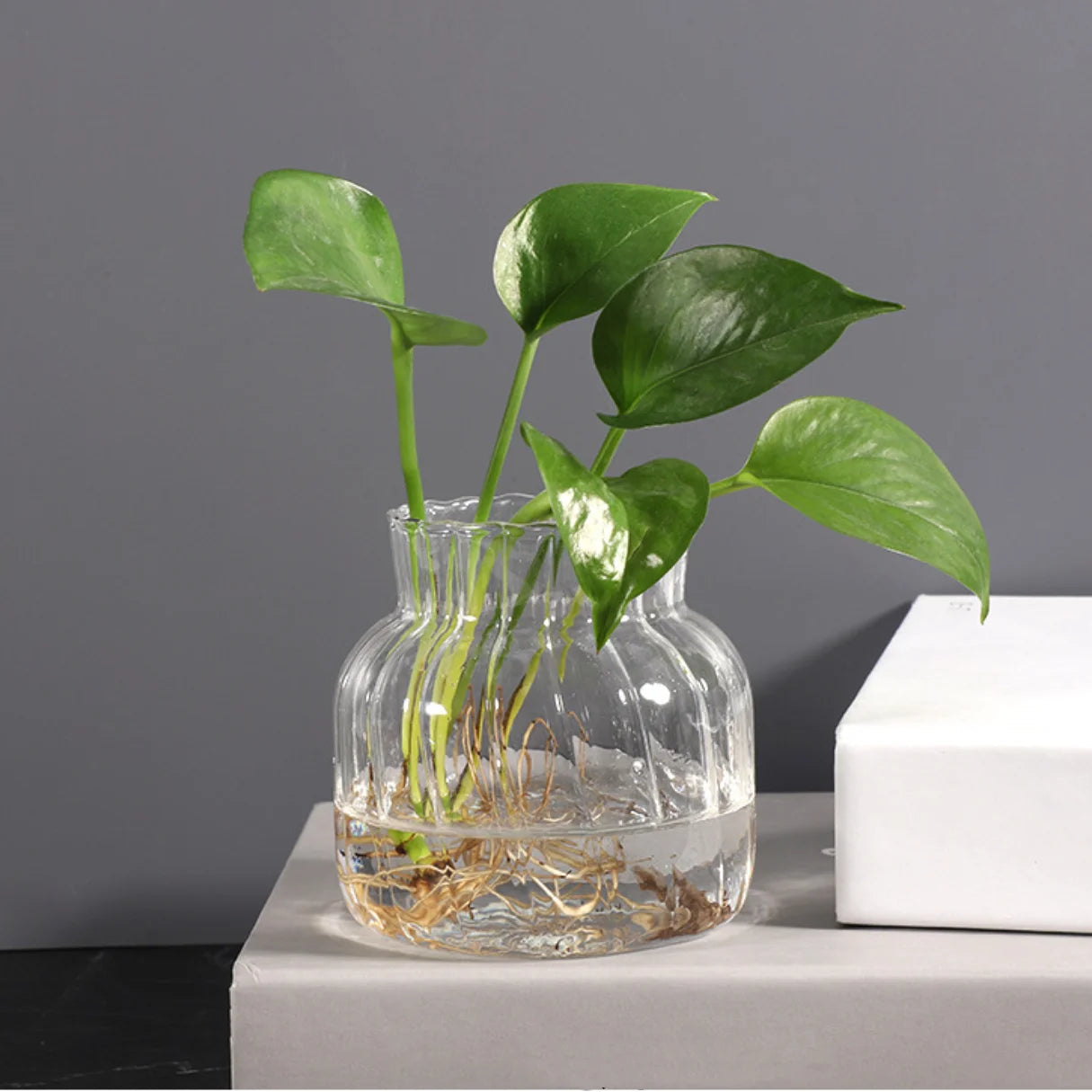 Transparent Glass Vases Hydroponic Plants Flower Arrangement Bottle Mini Retro Striped Vase Home Room Dinner Table Decor ﻿