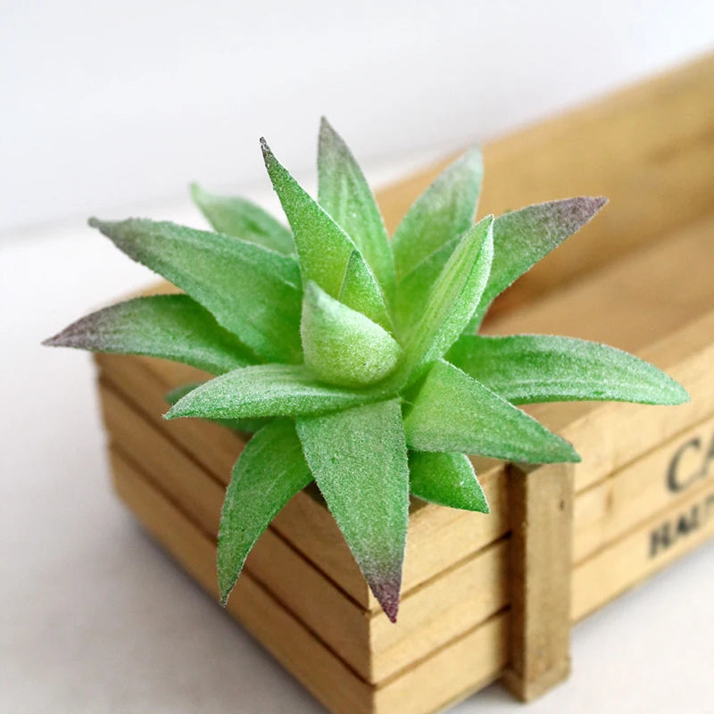 Artifical Plastic Succulent Plant Realistic Textured Cactus Mini Faux Succulents Fake Plant Decor Craft Ornaments Floral Decorat