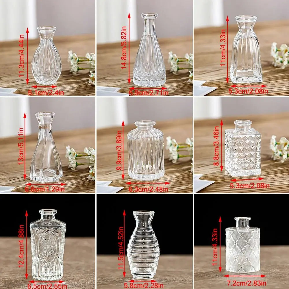 Retro Hydroponic Plant Vase Transparent Glass Vase INS Flower Vase Desktop Ornaments Home Decoration Wedding Party Supplies