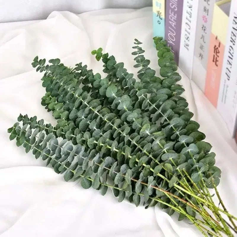 10/36PCS Artificial Eucalyptus Stems Green Leaves Eucalyptus Branches Flower Bouquet Wedding Christmas Decoration Fake Plant